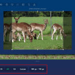 Как изменить соотношение сторон видео: подборка лучших решений