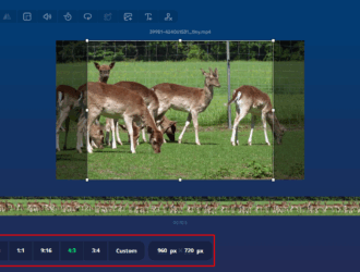 Как изменить соотношение сторон видео: подборка лучших решений