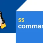 Команда ss в Linux — обзор и примеры использования