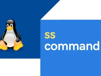 Команда ss в Linux — обзор и примеры использования
