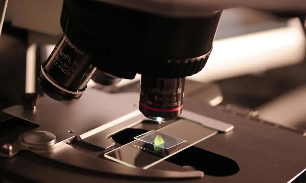 Остерегайтесь белков, созданных искусственным интеллектом