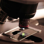 Остерегайтесь белков, созданных искусственным интеллектом