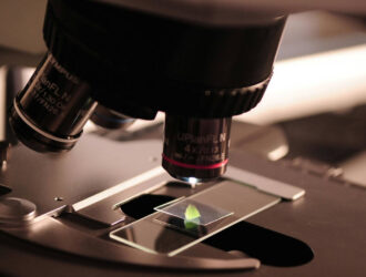 Остерегайтесь белков, созданных искусственным интеллектом