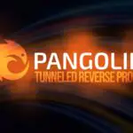 Pangolin Reverse Proxy переходит на двойное лицензирование с выпуском новой корпоративной версии