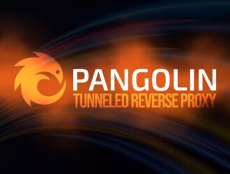 Pangolin Reverse Proxy переходит на двойное лицензирование с выпуском новой корпоративной версии