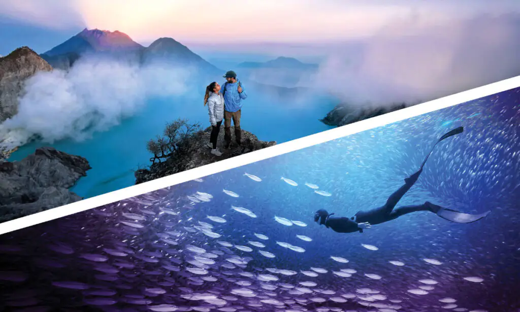 Photoshop и Premiere Elements 2026: большой скачок к искусственному интеллекту