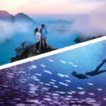 Photoshop и Premiere Elements 2026: большой скачок к искусственному интеллекту