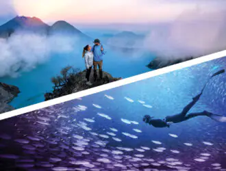 Photoshop и Premiere Elements 2026: большой скачок к искусственному интеллекту