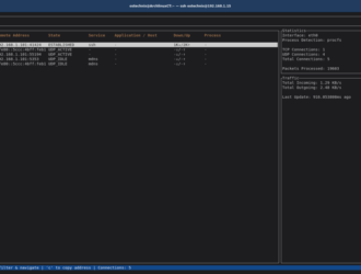 Мониторинг сети в режиме реального времени с помощью RustNet — обзор
