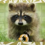 Доступен для скачивания Ubuntu 26.04 Snapshot 1