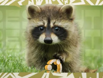 Доступен для скачивания Ubuntu 26.04 Snapshot 1