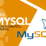 Как выполнять запросы MySQL через терминал Linux