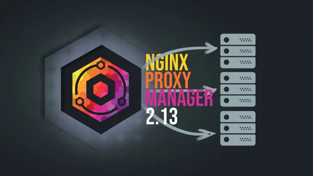 Nginx Proxy Manager 2.13 представляет долгожданный интерфейс React