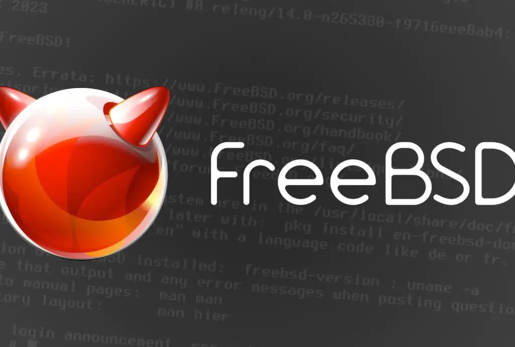 Как проверить версию FreeBSD: руководство для начинающих