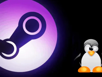 Как установить Steam в Ubuntu и других дистрибутивах Linux