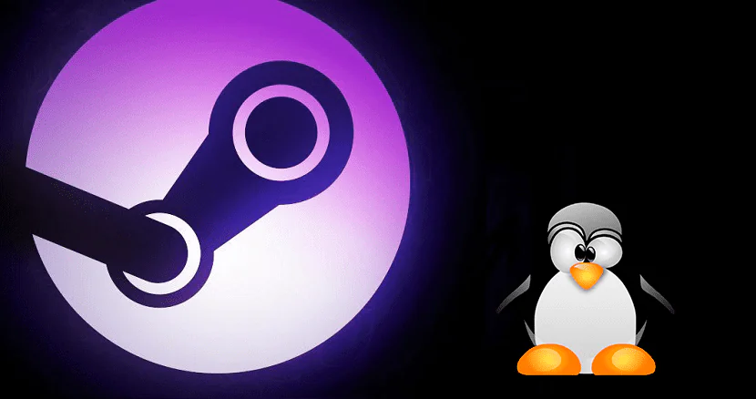 Как установить Steam в Ubuntu и других дистрибутивах Linux