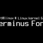 В ядре Linux 6.19 появится консольный растровый шрифт Terminus 10×18