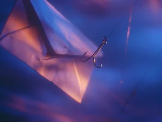 Вас обманули? Конечно! Вы же человек...