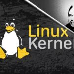 Ядро Linux официально определяет, что произойдёт, если Линус Торвальдс уйдёт