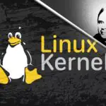 Ядро Linux официально определяет, что произойдёт, если Линус Торвальдс уйдёт