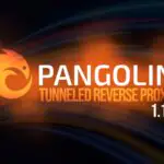 Запущен Pangolin 1.15 — туннелированный обратный прокси с приложениями для iOS и Android