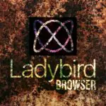 Компания Ladybird начинает переписывать свой браузерный движок на языке Rust с помощью искусственного интеллекта