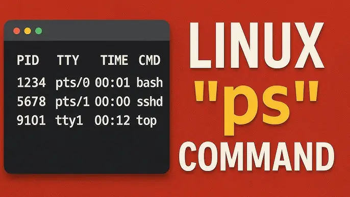 Устранение ошибки «ps: command not found» в Linux