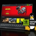 Как установить клиентское приложение Nvidia GeForce Now в Linux