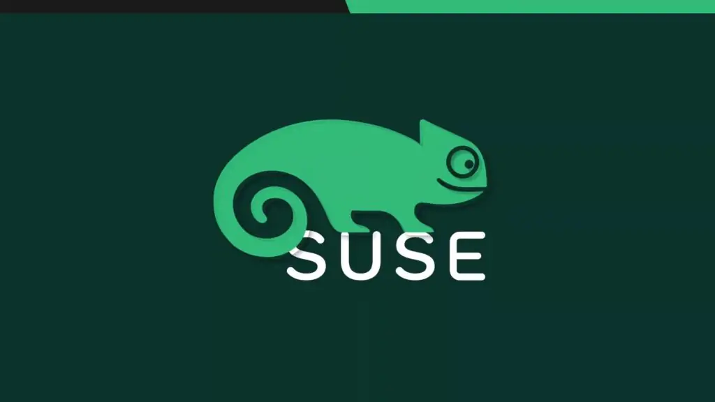 SUSE Linux может снова сменить владельца: что происходит с компанией