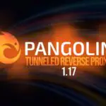 Pangolin 1.17: туннельный обратный прокси получил поддержку нескольких ролей для пользователей