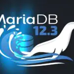 MariaDB 12.3 LTS получила поддержку до июня 2029 года