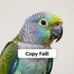 Parrot 7.2 теперь официально доступен для скачивания с патчем «Copy Fail»