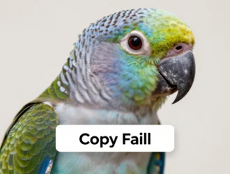 Parrot 7.2 теперь официально доступен для скачивания с патчем «Copy Fail»
