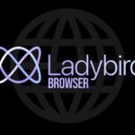 Ladybird прекращает приём публичных Pull Request перед выпуском первой Alpha-версии