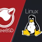 Экспериментальный модуль ядра BSDun запускает бинарные файлы FreeBSD в Linux