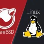 Экспериментальный модуль ядра BSDun запускает бинарные файлы FreeBSD в Linux