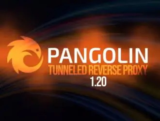 Pangolin 1.20 Tunneled Reverse Proxy: добавлена новая программа запуска ресурсов