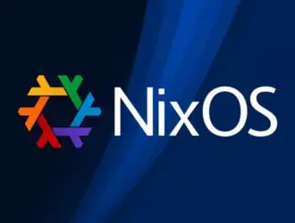 Nixpkgs Core Team распущена: управление Nixpkgs осталось без отдельного владельца
