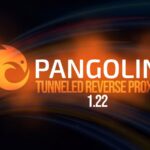 Pangolin 1.22: туннелированный обратный прокси-сервер с ИИ-шлюзом