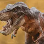 Кодовое имя Ubuntu 27.04 раскрыто как ‘Tenacious T-Rex’