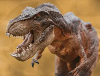 Кодовое имя Ubuntu 27.04 раскрыто как ‘Tenacious T-Rex’